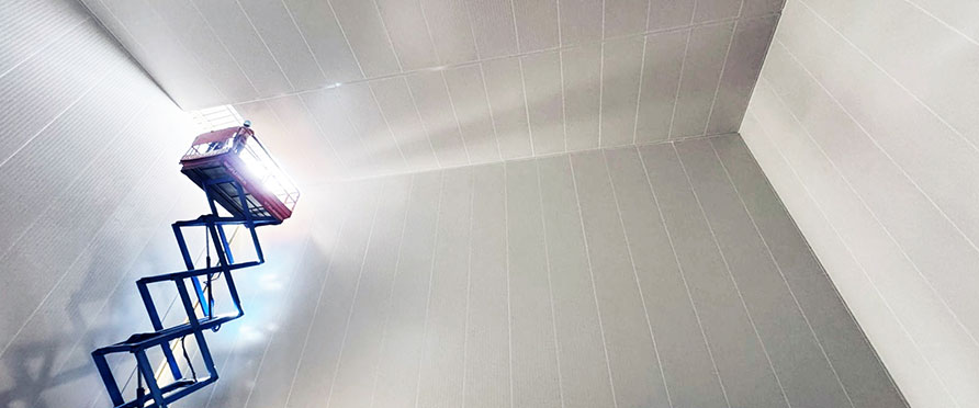 Enhancing Meat Processing Efficiency in Kenya