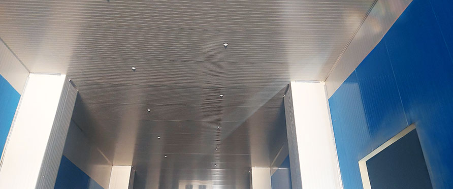 Preserving Fresh Produce in Egypt