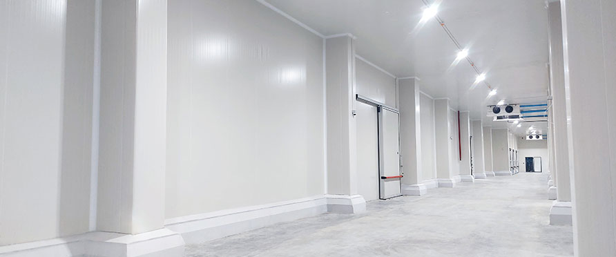 Preserving Fresh Produce in Egypt